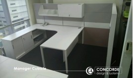 Manager's Cubicle